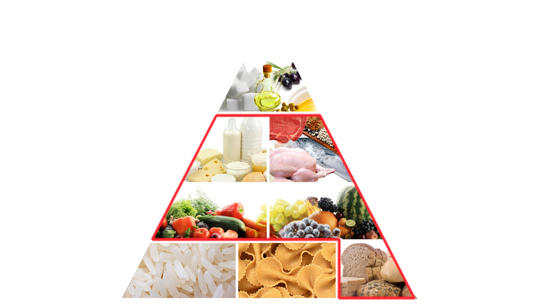 냉동에 관한 유용한 정보