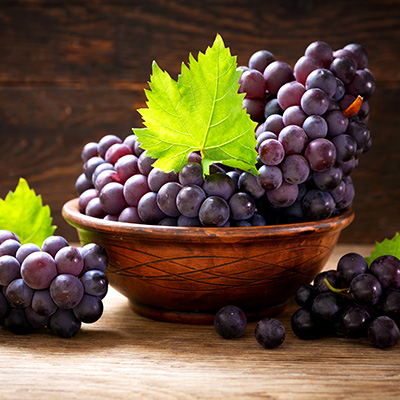 포도 냉장 보관실